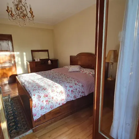 Villa House Irena *